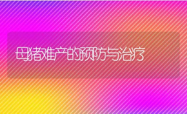 母猪难产的预防与治疗 | 动物养殖学堂