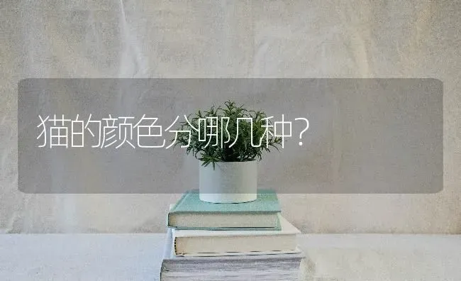 猫的颜色分哪几种？ | 动物养殖问答