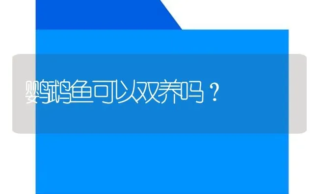 鹦鹉鱼可以双养吗？ | 鱼类宠物饲养