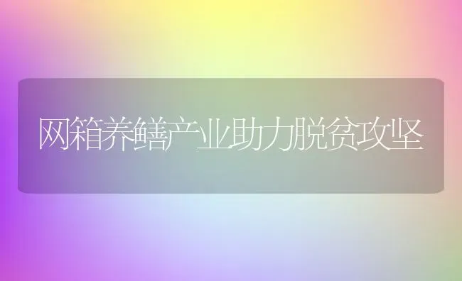 网箱养鳝产业助力脱贫攻坚 | 动物养殖百科