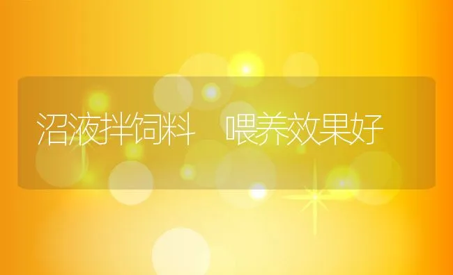 沼液拌饲料 喂养效果好 | 动物养殖学堂