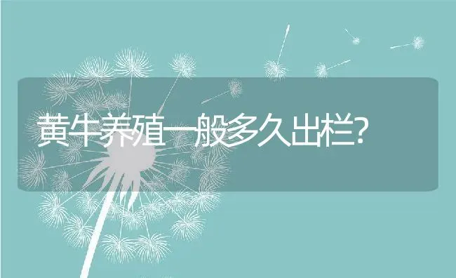 黄牛养殖一般多久出栏？ | 动物养殖百科