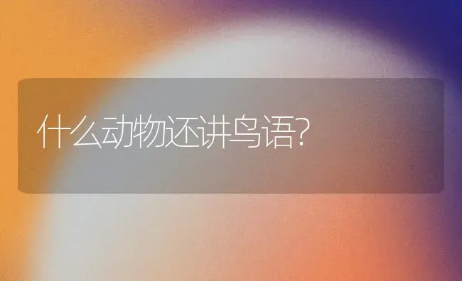 七十天的比熊可以吃干狗粮吗？ | 动物养殖问答