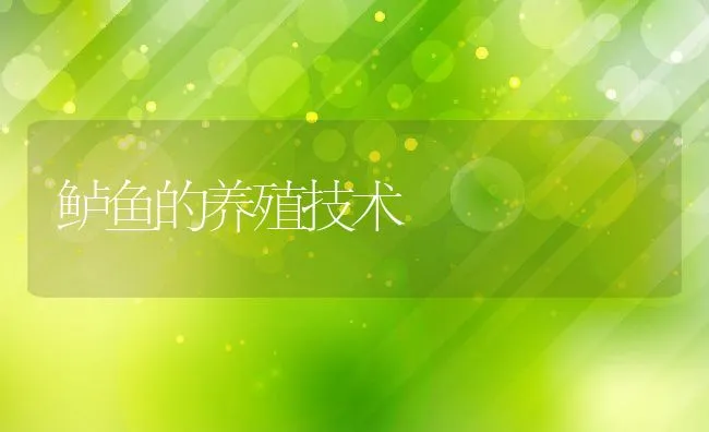 鲈鱼的养殖技术 | 动物养殖饲料