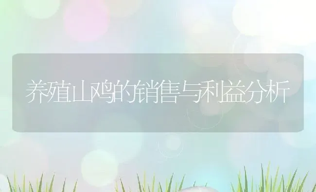 养殖山鸡的销售与利益分析 | 动物养殖百科