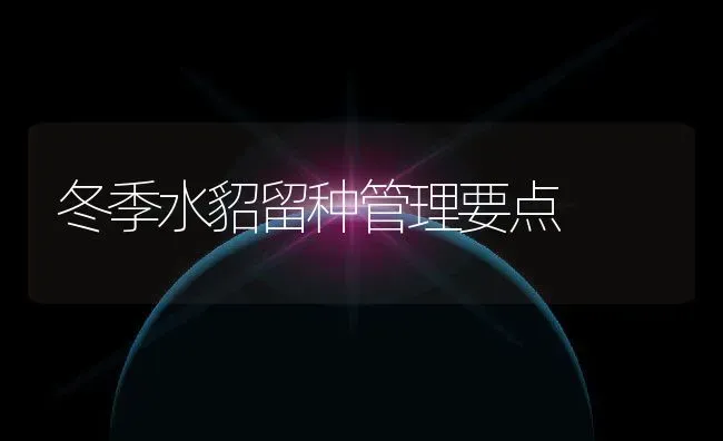 冬季水貂留种管理要点 | 动物养殖百科