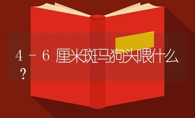 4-6厘米斑马狗头喂什么？ | 鱼类宠物饲养