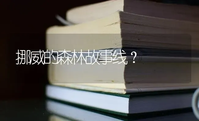 纠正西高地白梗乱咬东西？ | 动物养殖问答