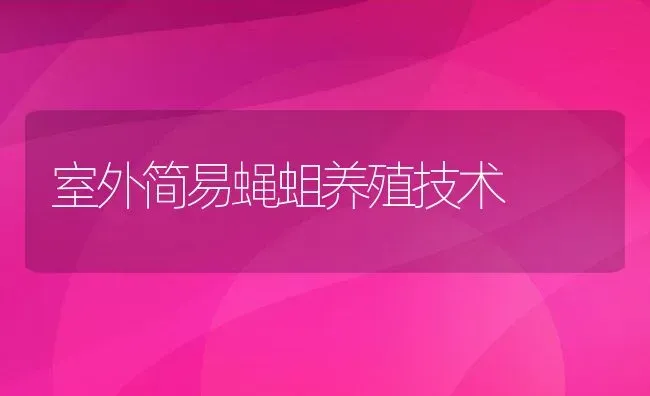 室外简易蝇蛆养殖技术 | 动物养殖教程