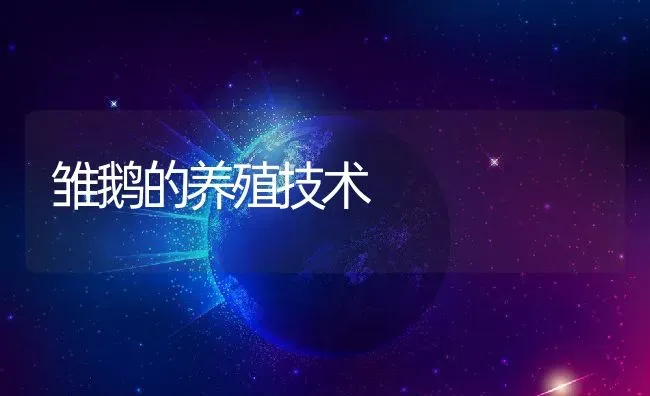 雏鹅的养殖技术 | 动物养殖百科