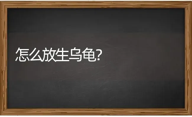 两个月缅因猫怎么养？ | 动物养殖问答