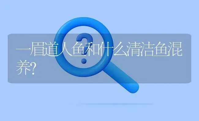 一眉道人鱼和什么清洁鱼混养？ | 鱼类宠物饲养