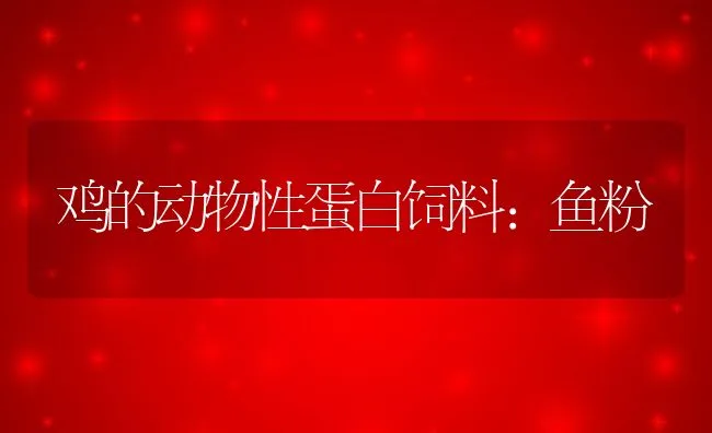 对虾病毒性红腿病的防治 | 海水养殖技术