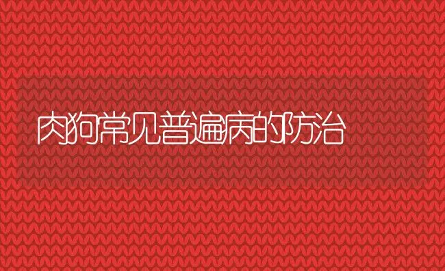 肉狗常见普遍病的防治 | 水产养殖知识