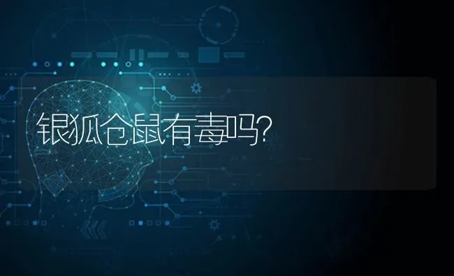 银狐仓鼠有毒吗？ | 动物养殖问答