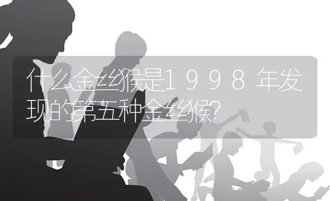 什么金丝猴是1998年发现的第五种金丝猴？ | 动物养殖问答