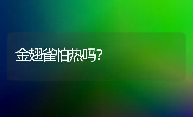 金翅雀怕热吗？ | 动物养殖问答