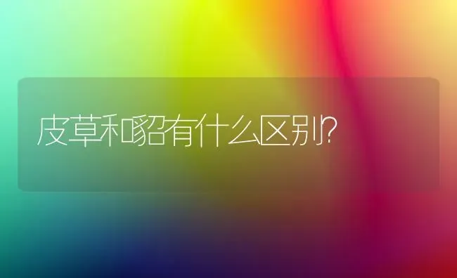 皮草和貂有什么区别？ | 动物养殖问答