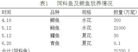 小型水库主养鳜鱼高效试验