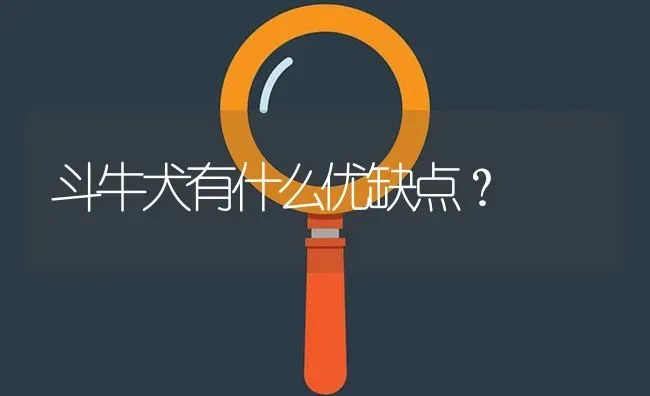 斗牛犬有什么优缺点？ | 动物养殖问答