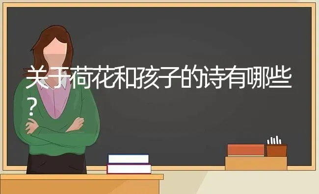 关于荷花和孩子的诗有哪些？ | 动物养殖问答