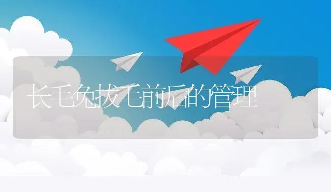 长毛兔拔毛前后的管理 | 家畜养殖技术