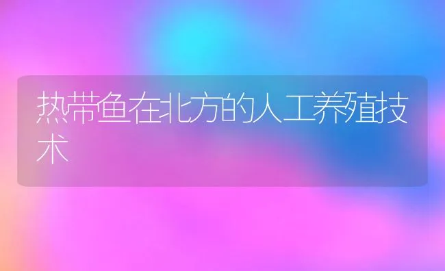 池塘鳜鱼养殖苗种投放及早期鱼病防治技术 | 海水养殖技术