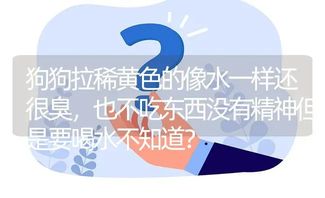 狗狗拉稀黄色的像水一样还很臭，也不吃东西没有精神但是要喝水不知道？ | 动物养殖问答