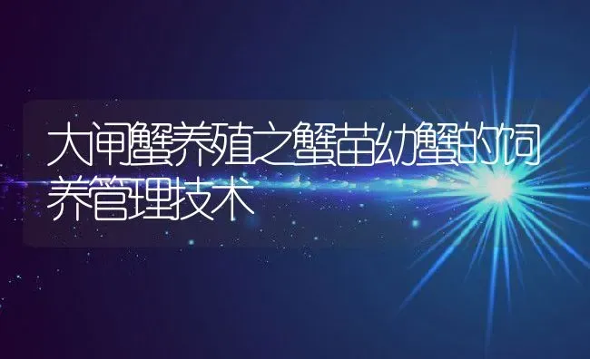 大闸蟹养殖之蟹苗幼蟹的饲养管理技术 | 动物养殖教程