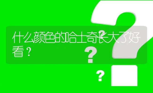 什么颜色的哈士奇长大了好看？ | 动物养殖问答