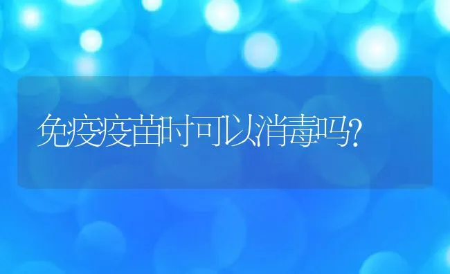 免疫疫苗时可以消毒吗？ | 动物养殖学堂