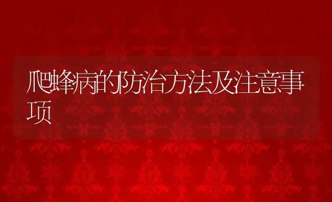 爬蜂病的防治方法及注意事项 | 动物养殖教程