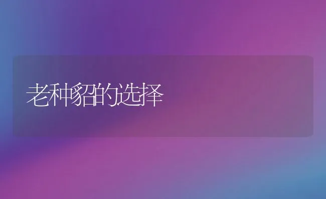 老种貂的选择 | 动物养殖学堂