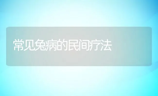 常见兔病的民间疗法 | 水产养殖知识