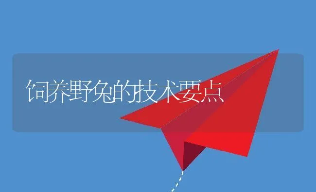 饲养野兔的技术要点 | 动物养殖学堂