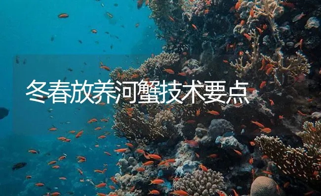 冬春放养河蟹技术要点 | 海水养殖技术