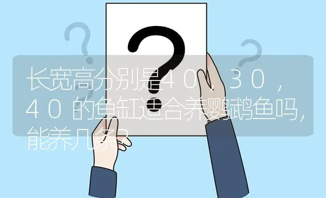 长宽高分别是40，30，40的鱼缸适合养鹦鹉鱼吗，能养几条？ | 鱼类宠物饲养