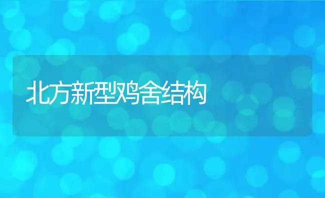 北方新型鸡舍结构 | 动物养殖学堂