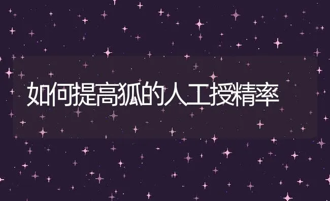 如何提高狐的人工授精率 | 动物养殖学堂