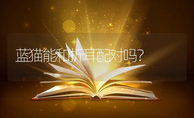 蓝猫能和折耳配对吗？ | 动物养殖问答