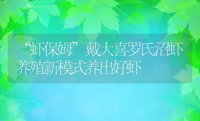 “虾保姆”戴大喜罗氏沼虾养殖新模式养出好虾 | 动物养殖百科