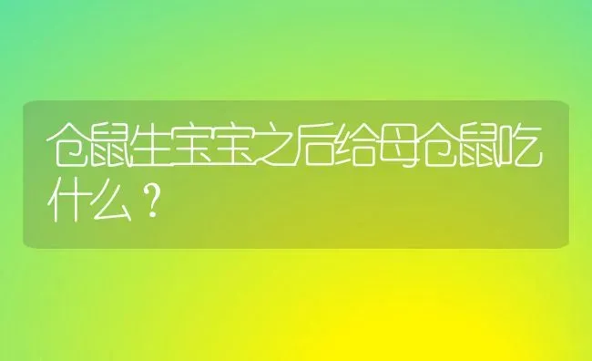 仓鼠生宝宝之后给母仓鼠吃什么？ | 动物养殖问答