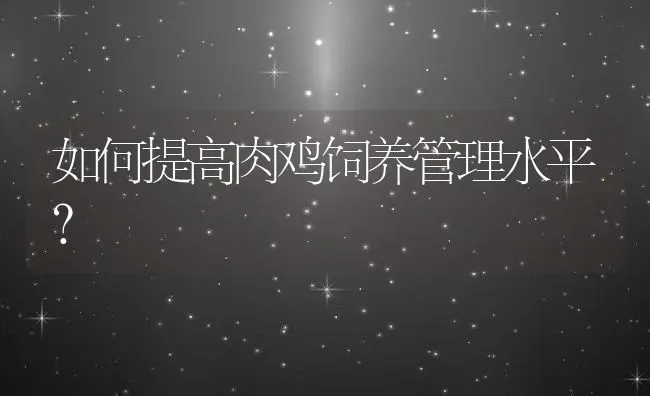 如何提高肉鸡饲养管理水平？ | 动物养殖教程