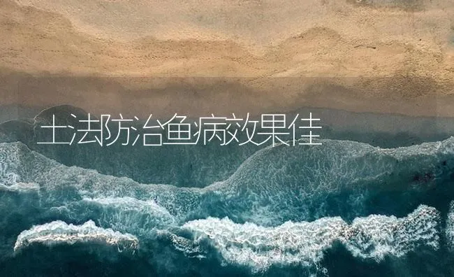 淡水鱼非寄生性疾病防治：冻伤 | 海水养殖技术