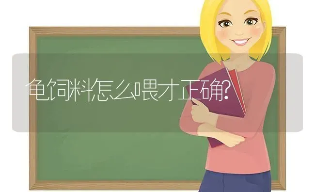 乳白色的狗叫什么？ | 动物养殖问答