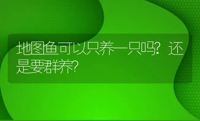 地图鱼可以只养一只吗?还是要群养？ | 鱼类宠物饲养