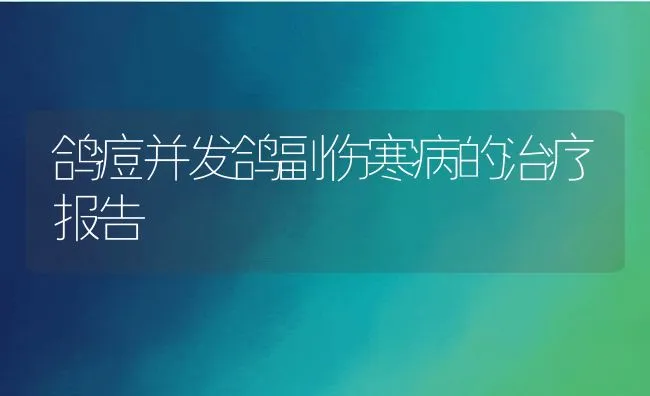 鸽痘并发鸽副伤寒病的治疗报告 | 动物养殖学堂