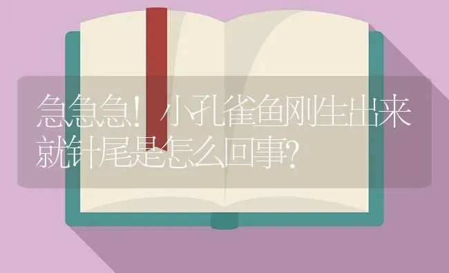 急急急！小孔雀鱼刚生出来就针尾是怎么回事？ | 鱼类宠物饲养