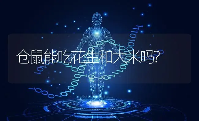 仓鼠能吃花生和大米吗? | 动物养殖问答