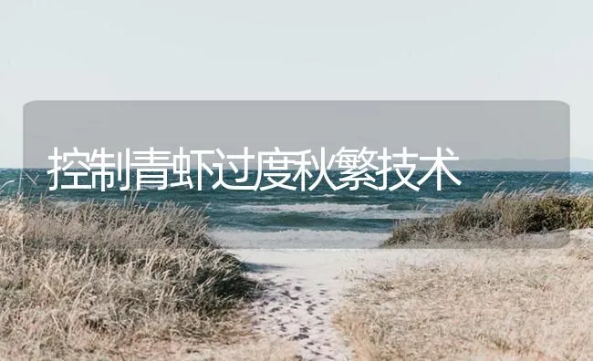 控制青虾过度秋繁技术 | 海水养殖技术